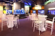Conference Venues