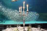 Christmas Party Venues