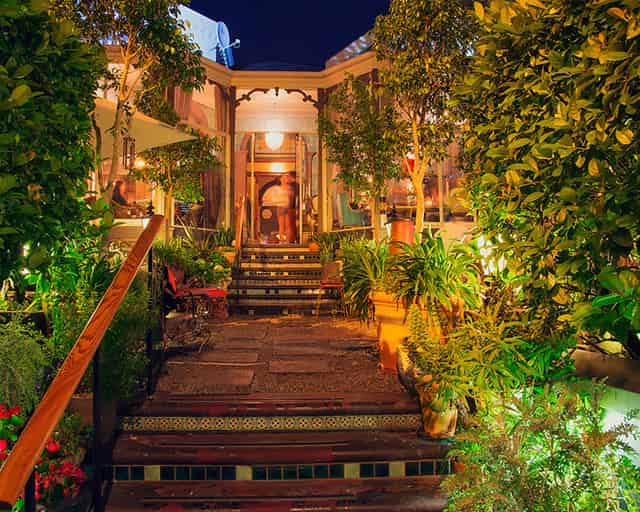 Garden