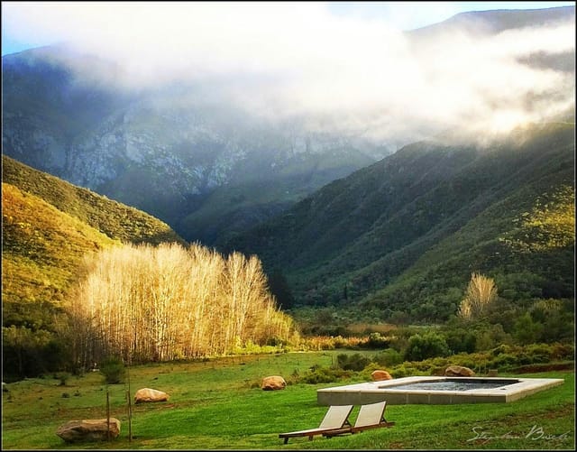 Glamping tents with a hot tub in Pat Busch Mountain Reserve for serene retreats.