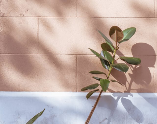 Hair Salon in Stage 11: Serene green backdrop for creative meetings and events.