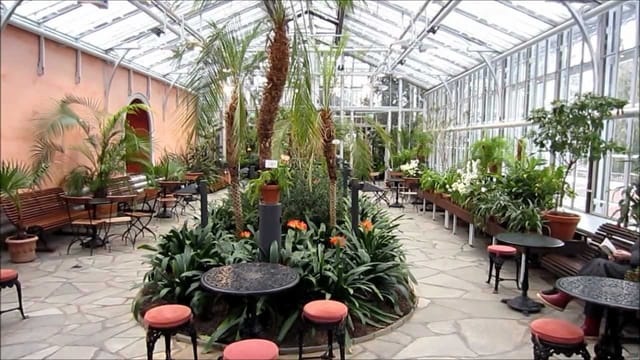 Vibrant greenhouse venue with lush greenery, ideal for meetings and workshops.