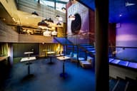 Conference Venues