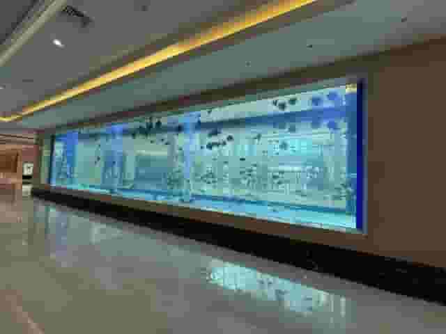 Function Room