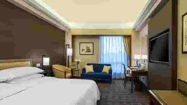Meeting Rooms