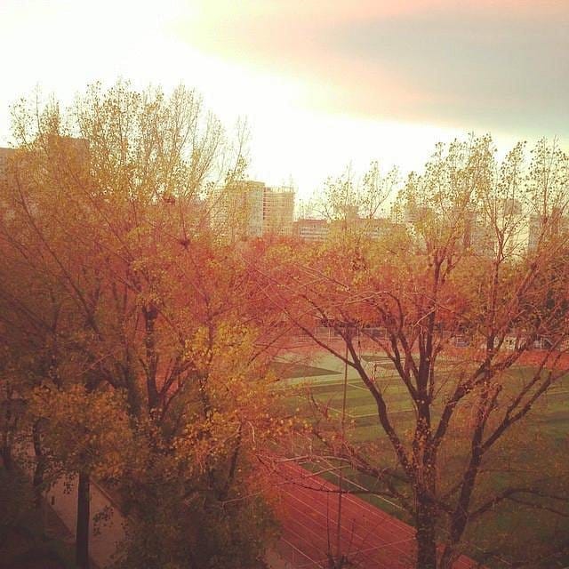 Beijing Language and Culture University conference center with vibrant autumn trees, ideal for retreats.
