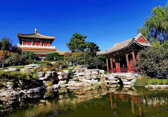 Main Exhibition Area at Beijing Garden Expo Park with lush greenery, ideal for outdoor events.