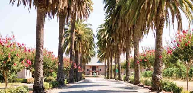 Palm Event Center In the Vineyard - A ...