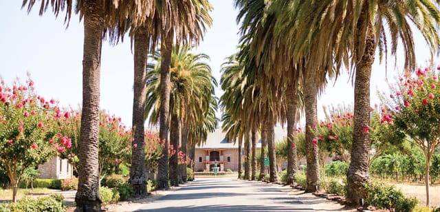 Palm Event Center In the Vineyard - A ...