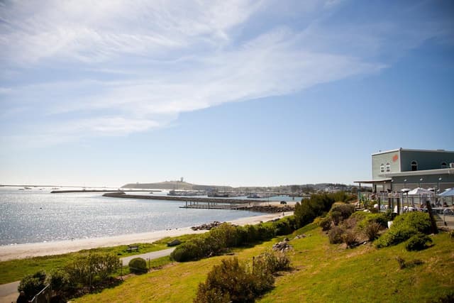 Beachfront Lawn