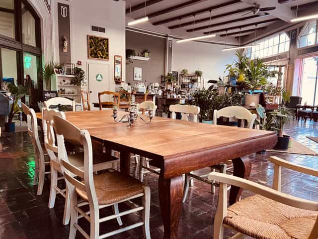 Intimate plant-filled meeting space with a rustic wooden table for creative events.