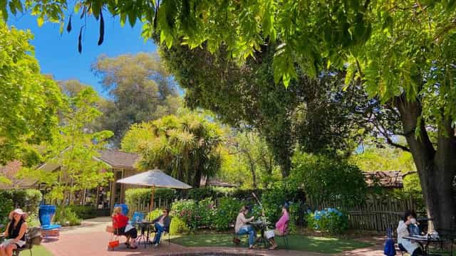 Café Wisteria outdoor venue with lush greenery for corporate retreats and meet-and-greets.