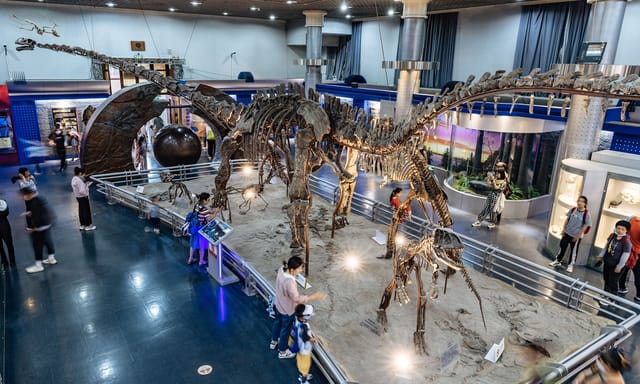 Dinosaur skeletons exhibit in National Museum of China, ideal for themed events and workshops.