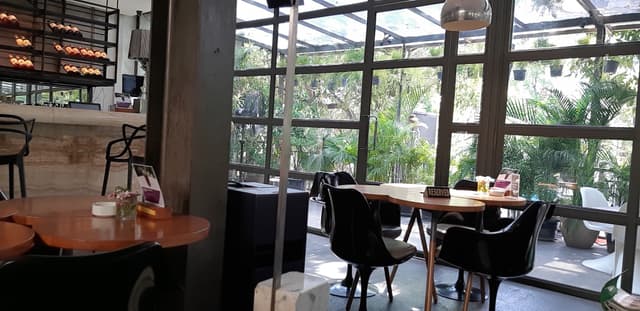 Outdoor Area