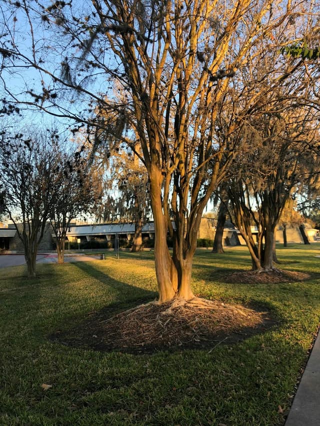 local_government_office