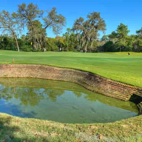 Cypress Creek at Champions Golf Club in ...