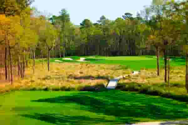 Tournament Course