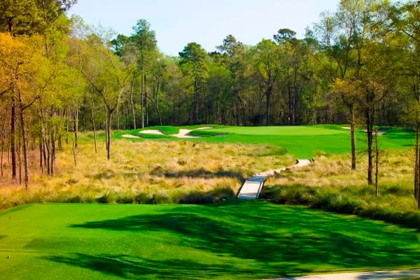 Tournament Course at Golf Club of Houston, lush greenery perfect for corporate retreats.