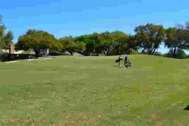 Back Lawn