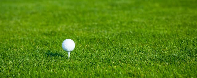 Pristine golf tee with white ball at Jersey Meadow Golf Course for corporate outings.