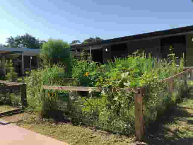 Natives Nursery