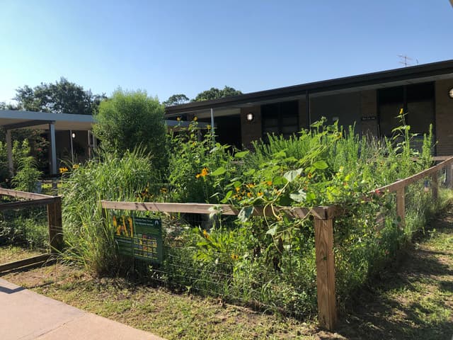Natives Nursery