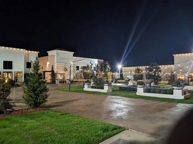 Dallas Palms Venue