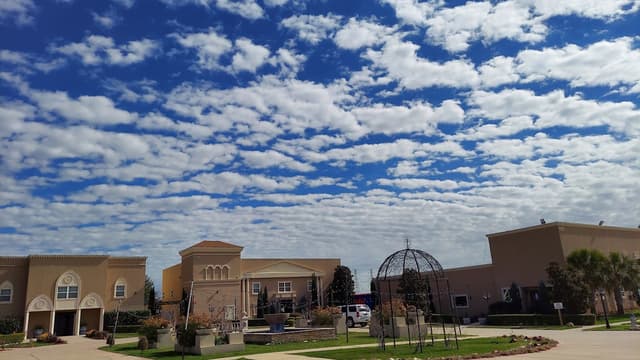 Dallas Palms Venue
