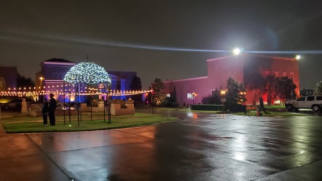 Dallas Palms Venue