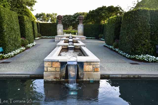 A Woman’s Garden