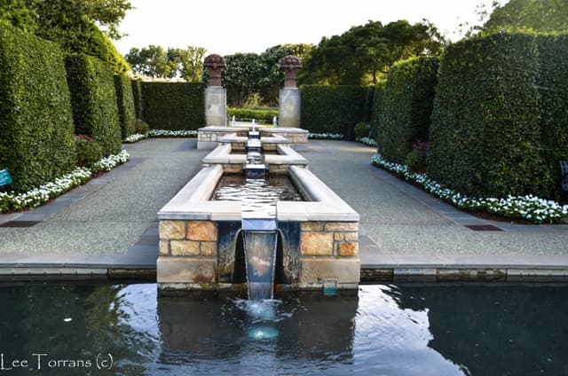 A Woman’s Garden