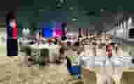 Unique Conferences