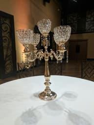 Reception Venues