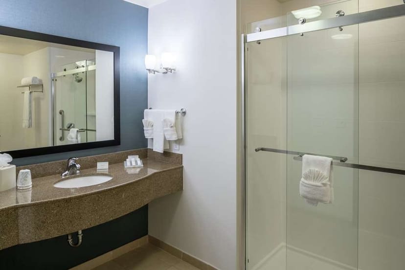 Hilton Garden Inn DFW North Grapevine - >Hilton Garden Inn DFW North Grapevine</a>