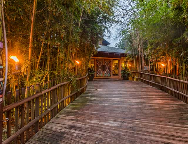 Portraits of the Wild gallery entrance with bamboo torches for events in Fort Worth Zoo.