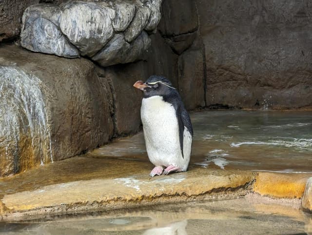 Fort Worth Zoo