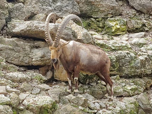 Fort Worth Zoo