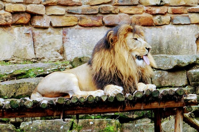 Fort Worth Zoo