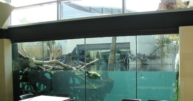 Crocodile Café and MOLA Gardens