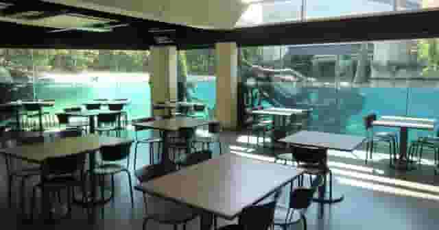 Crocodile Café and MOLA Gardens
