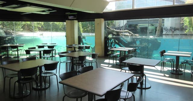 Crocodile Café and MOLA Gardens