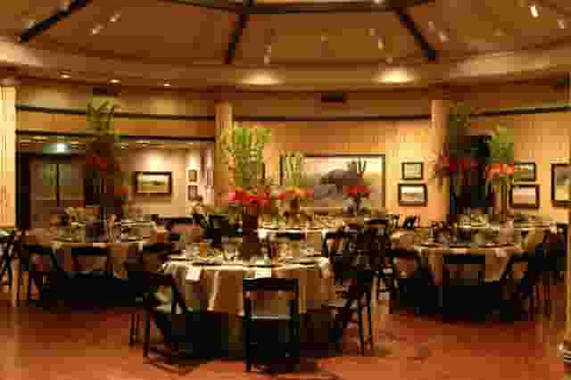Crocodile Café and MOLA Gardens