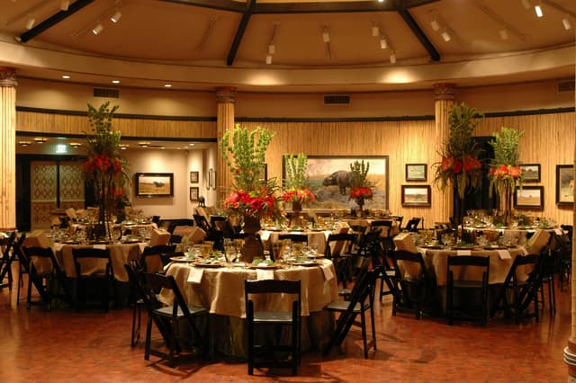 Crocodile Café and MOLA Gardens