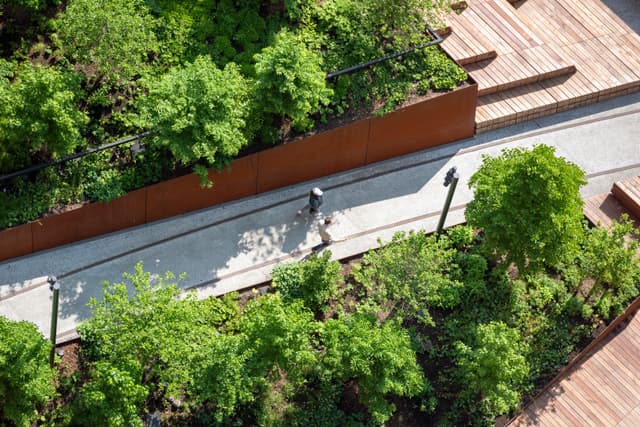 The High Line