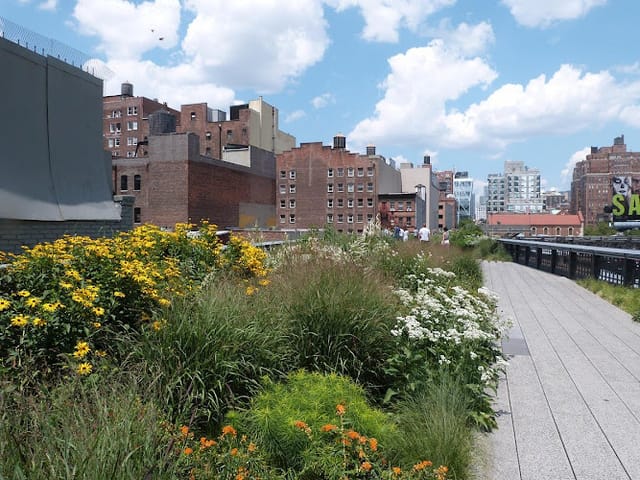 Diller-von Furstenberg Sundeck: lush urban green space for outdoor events and networking