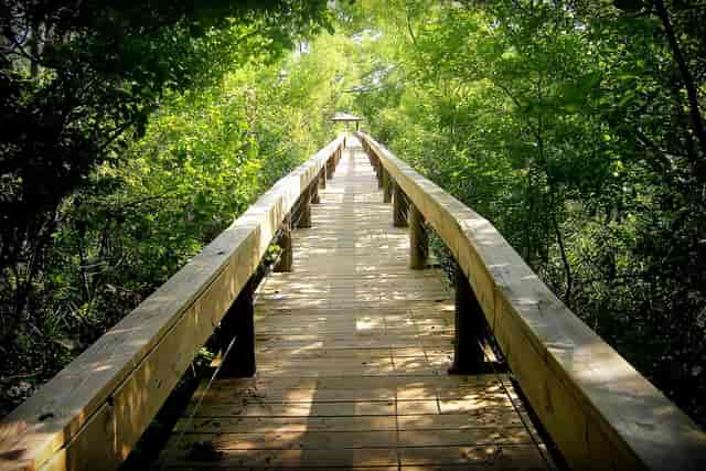 Fort Worth Nature Center & Refuge - All ...