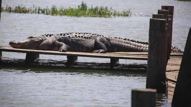 Wildlife Sanctuary