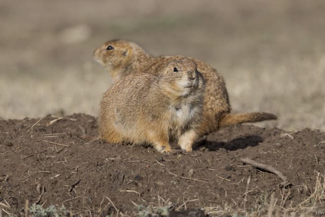 Wildlife Sanctuary