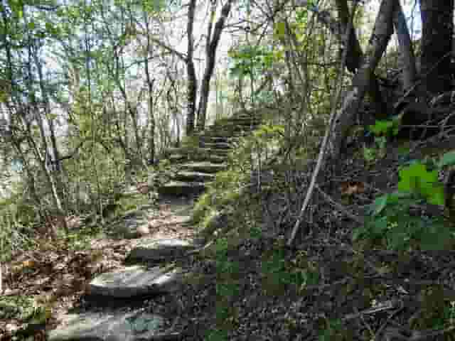 Wildlife Sanctuary