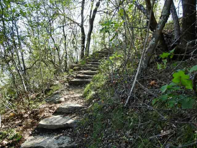 Wildlife Sanctuary at Fort Worth Nature Center, showcasing lush greenery and diverse species.